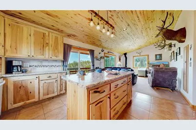 51 Tenino Ct, Red Feather Lakes, CO 80545 - Photo 14