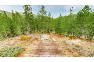 51 Tenino Ct, Red Feather Lakes, CO 80545 - Photo 42