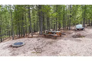 51 Tenino Ct, Red Feather Lakes, CO 80545 - Photo 40