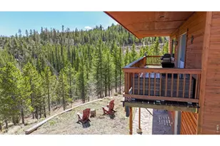 51 Tenino Ct, Red Feather Lakes, CO 80545 - Photo 38