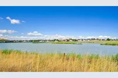 341 Fiord Way, Severance, CO 80550 - Photo 30