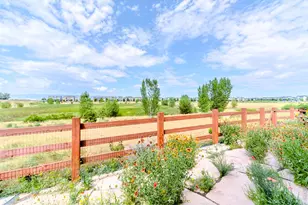 233 Dassault St, Fort Collins, CO 80524 - Photo 30