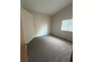 629 Ash St, Windsor, CO 80550 - Photo 1