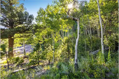 30153 Spruce Canyon Dr, Golden, CO 80403 - Photo 10