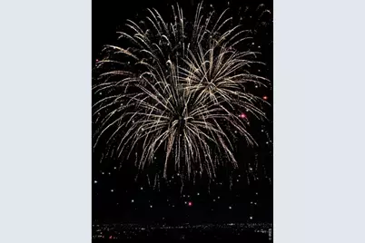5881 N Beeler St, Denver, CO 80238 - Photo 40