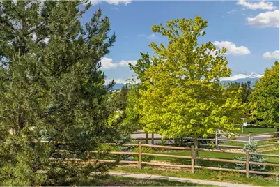 7883 Cherry Blossom Dr, Windsor, CO 80550 - Photo 4