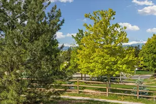 7883 Cherry Blossom Dr, Windsor, CO 80550 - Photo 4