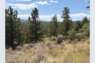 6920 Ottawa Way, Red Feather Lakes, CO 80545 - Photo 22
