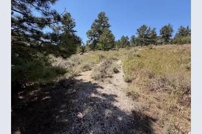 6920 Ottawa Way, Red Feather Lakes, CO 80545 - Photo 24
