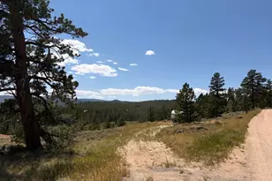 6920 Ottawa Way, Red Feather Lakes, CO 80545 - Photo 1