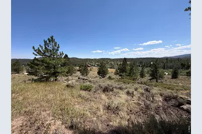 6920 Ottawa Way, Red Feather Lakes, CO 80545 - Photo 12