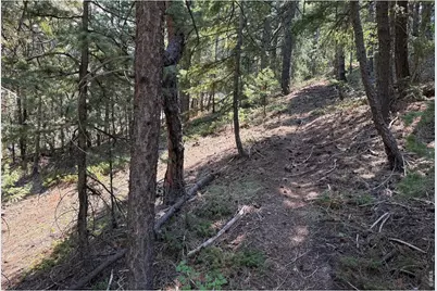 2926 Magnolia Dr, Nederland, CO 80466 - Photo 20