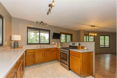 1001 Bald Mountain Dr, Livermore, CO 80536 - Photo 6