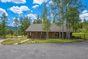 338 County Rd 84 W, Allenspark, CO 80510 - Photo 40