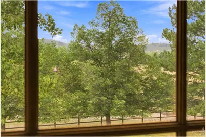 6342 Wild Plum Dr, Loveland, CO 80537 - Photo 30