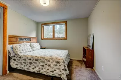 301 Pine Tree Dr, Estes Park, CO 80517 - Photo 18