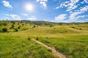 1800 Sumac Ave, Boulder, CO 80304 - Photo 36
