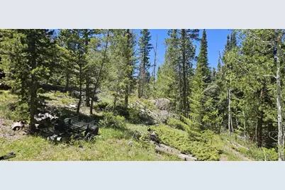 78 Kikima Ct, Red Feather Lakes, CO 80545 - Photo 22