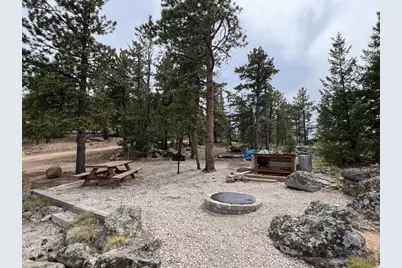 78 Kikima Ct, Red Feather Lakes, CO 80545 - Photo 8