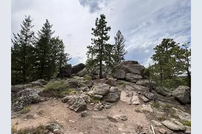 78 Kikima Ct, Red Feather Lakes, CO 80545 - Photo 10