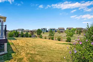 912 Charlton Dr, Windsor, CO 80550 - Photo 44