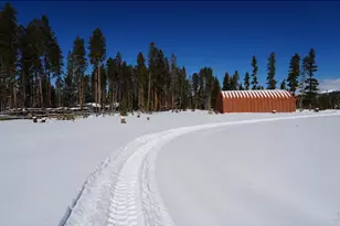 485 Anderson Ln, Walden, CO 80480 - Photo 24