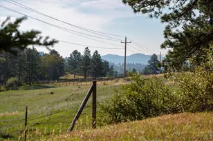17391 W County Rd 74e, Red Feather Lakes, CO 80545 - Photo 32