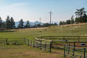 17391 W County Rd 74e, Red Feather Lakes, CO 80545 - Photo 28