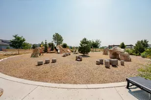 5251 Ribault St, Timnath, CO 80547 - Photo 46