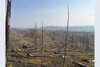 0 Pine Acres Rd, Bellvue, CO 80512 - Photo 12