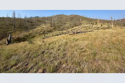 0 Pine Acres Rd, Bellvue, CO 80512 - Photo 24