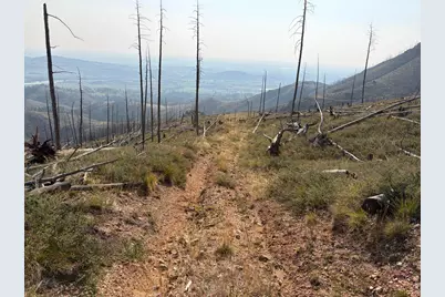 0 Pine Acres Rd, Bellvue, CO 80512 - Photo 34