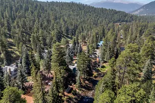 2222 Hwy 66, Estes Park, CO 80517 - Photo 38