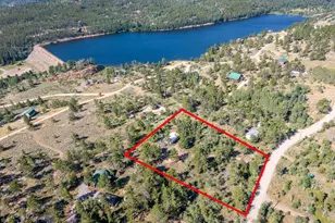 6424 Ottawa Way, Red Feather Lakes, CO 80545 - Photo 6