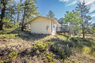 6424 Ottawa Way, Red Feather Lakes, CO 80545 - Photo 40