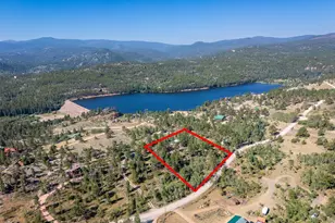 6424 Ottawa Way, Red Feather Lakes, CO 80545 - Photo 12