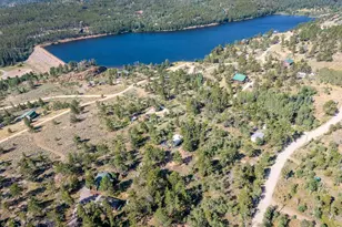 6424 Ottawa Way, Red Feather Lakes, CO 80545 - Photo 8