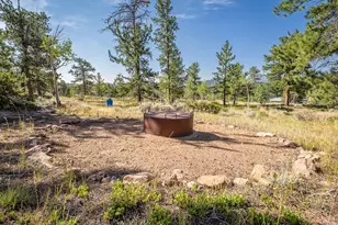 6424 Ottawa Way, Red Feather Lakes, CO 80545 - Photo 38