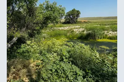 29643 County Road 17/21, Elizabeth, CO 80107 - Photo 38