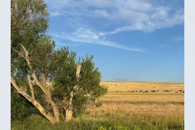 29643 County Road 17/21, Elizabeth, CO 80107 - Photo 36
