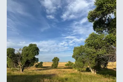 29643 County Road 17/21, Elizabeth, CO 80107 - Photo 10