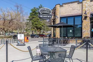 1130 N Pennsylvania St, Denver, CO 80203 - Photo 14