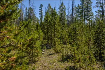 6566 Highway 125, Rand, CO 80473 - Photo 8