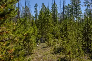 6566 Hwy 125, Rand, CO 80473 - Photo 8