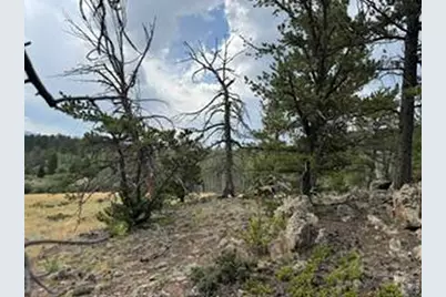 191 Cimarron Rd, Red Feather Lakes, CO 80545 - Photo 18