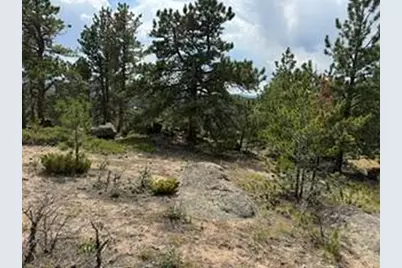 191 Cimarron Rd, Red Feather Lakes, CO 80545 - Photo 16