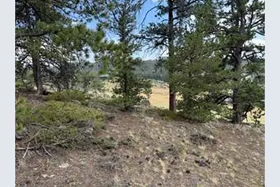 191 Cimarron Rd, Red Feather Lakes, CO 80545 - Photo 20