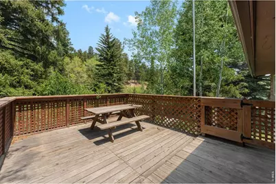 425 Caribou Rd, Nederland, CO 80466 - Photo 18