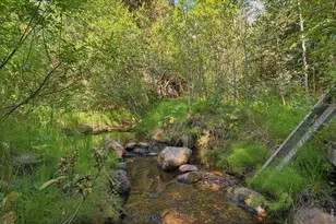 425 Caribou Rd, Nederland, CO 80466 - Photo 26
