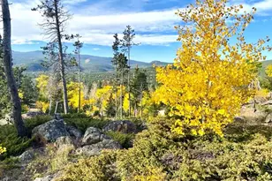 1502 Osage Trail, Red Feather Lakes, CO 80545 - Photo 44